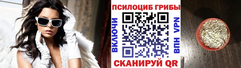 Галлюциногенные грибы Psilocybe  Троицк 